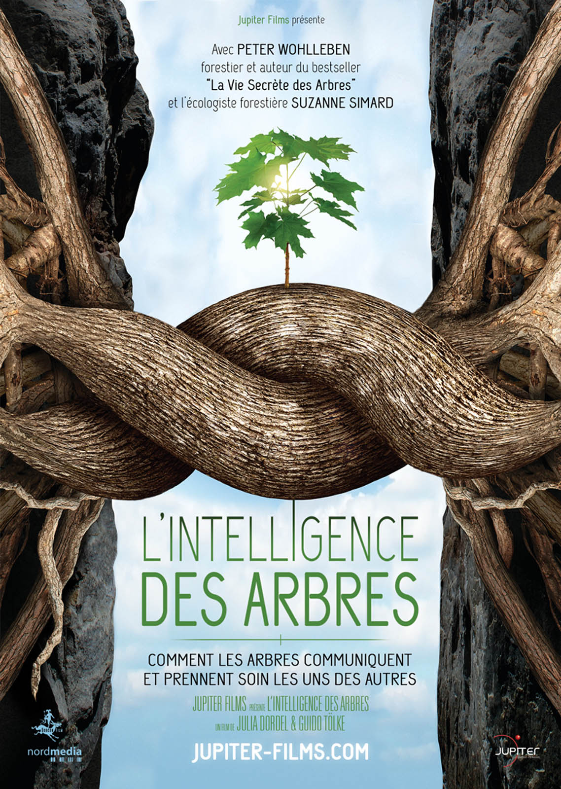 Diffusion du documentaire « L’intelligence des arbres » le mardi 17 octobre