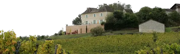 DOMAINE ANCIENNE CURE