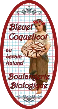 BLEUET ET COQUELICOT